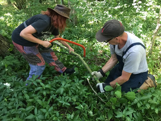 two people sawing wood